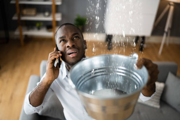 Best Water damage restoration near me  in Burlington, OH