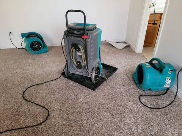 Best Residential water damage restoration  in Burlington, OH