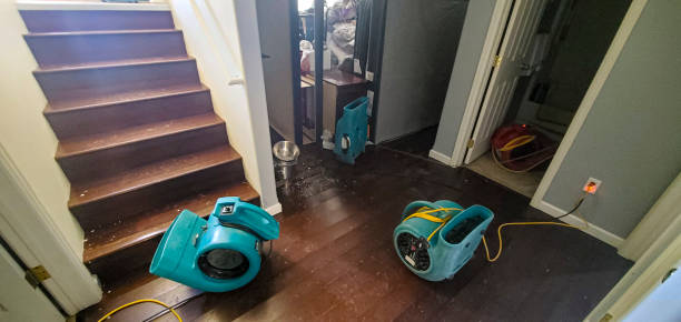 Best Emergency water extraction  in Burlington, OH