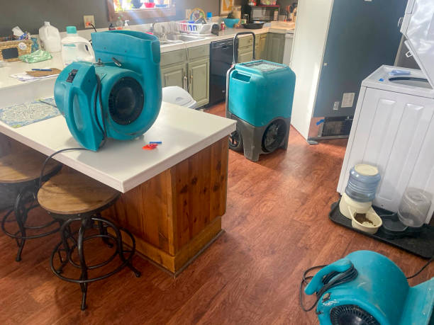 Best Commercial water damage restoration  in Burlington, OH