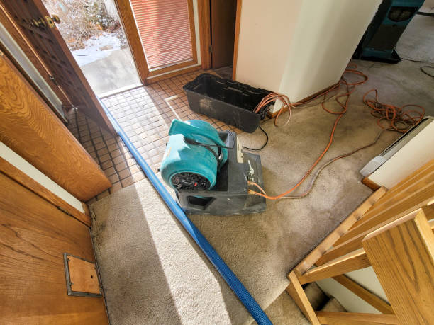 Best Carpet water damage restoration  in Burlington, OH