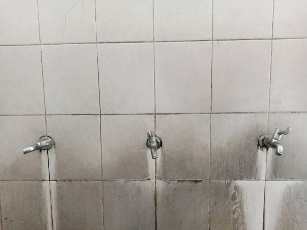 Best Water damage contractors near me  in Burlington, OH