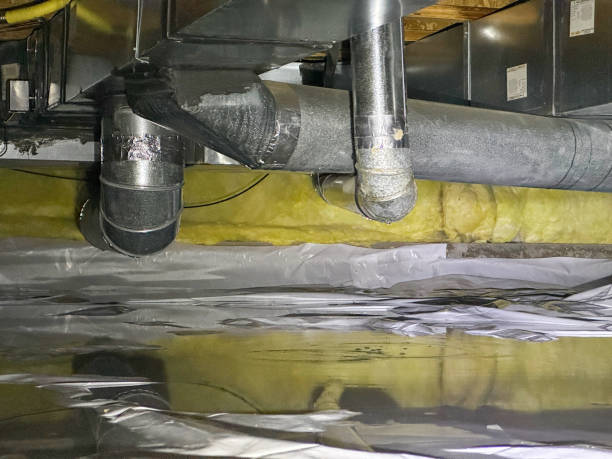 Best 24/7 water damage repair  in Burlington, OH