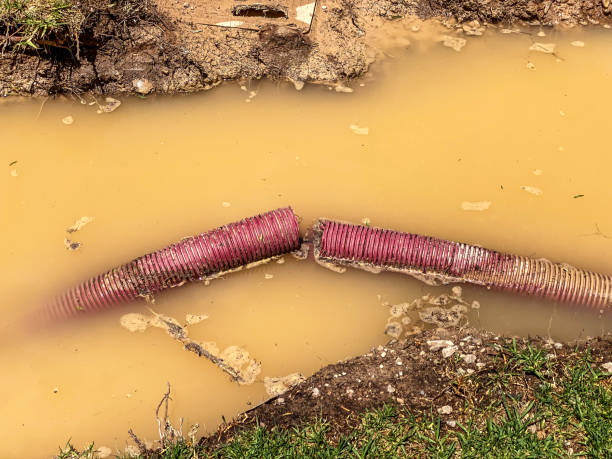 Best Water damage restoration near me  in Burlington, OH