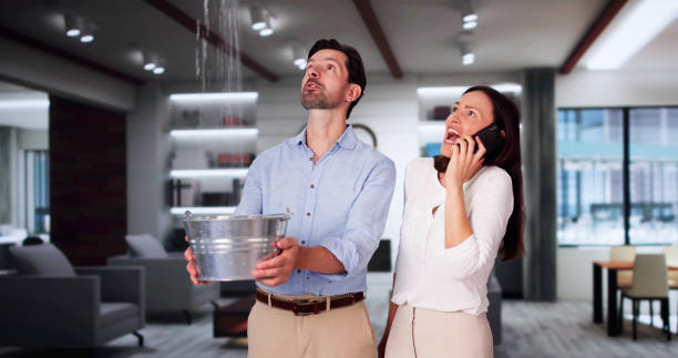Best Mold removal after water damage  in Burlington, OH