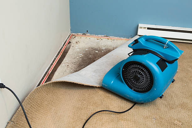 Best Fire Damage Restoration  in Burlington, OH